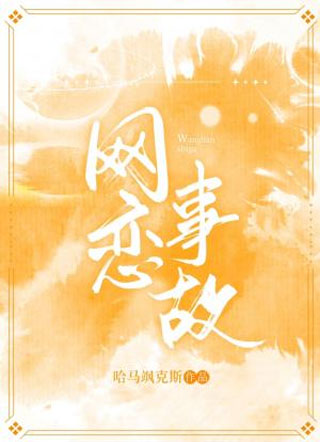 网恋事故小说