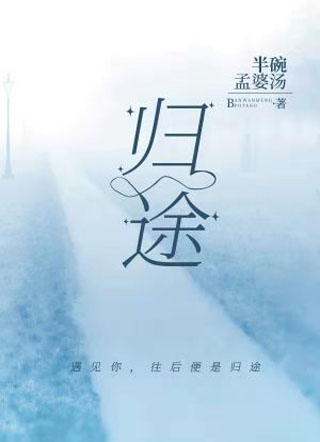 归途小说