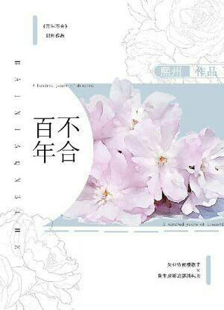 百年不合小说