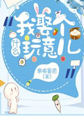我娶个什么玩意儿小说