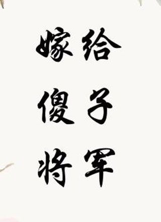 嫁给傻子将军易一小说