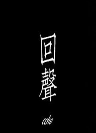 回声卖菜小说