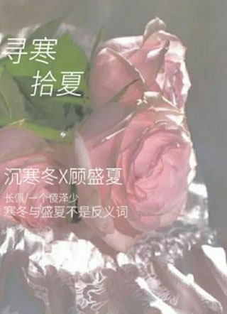 寻寒拾夏小说