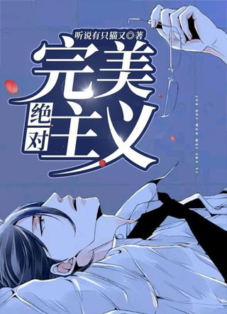 绝对完美主义小说