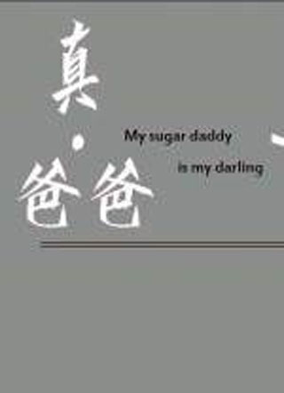 真·爸爸小说