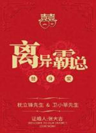 应魂小说