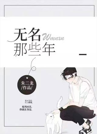 无名那些年小说