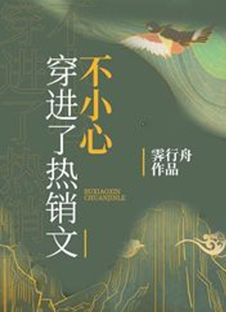 不小心穿进了热销文小说
