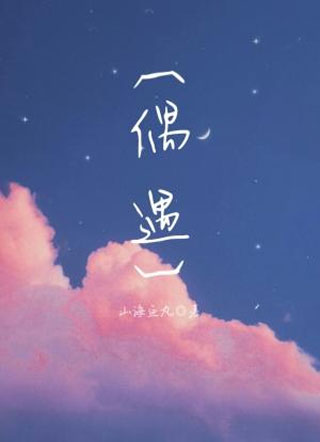 偶遇小说