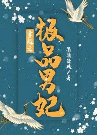穿越之极品男妃小说