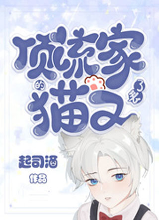 顶流家的猫又丢了小说