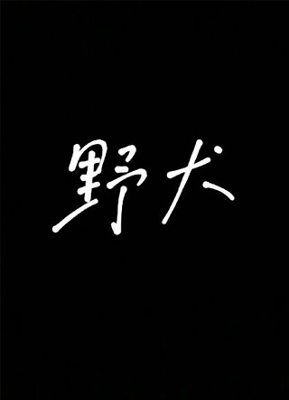 野犬小说