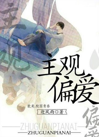主观偏爱小说