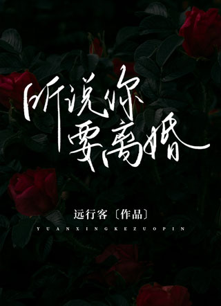 听说你要离婚小说