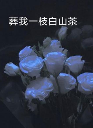 葬我一枝白山茶小说