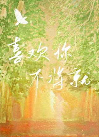 喜欢你不将就小说