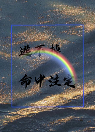 逃不掉命中注定小说