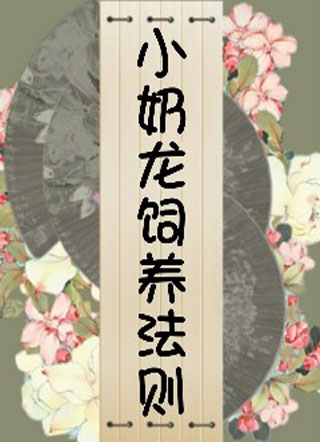小奶龙饲养法则应雨小说