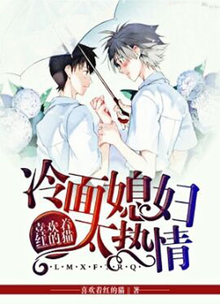 冷面媳妇太热情小说