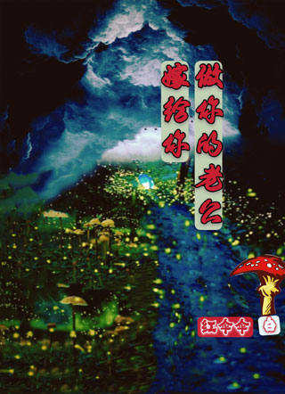 嫁给你做你的老公小说