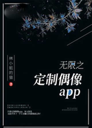 盛飞无限之定制偶像app小说