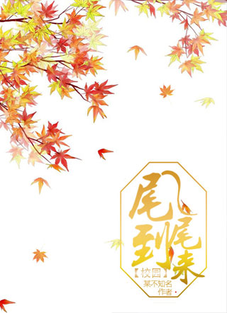 尾尾到来小说