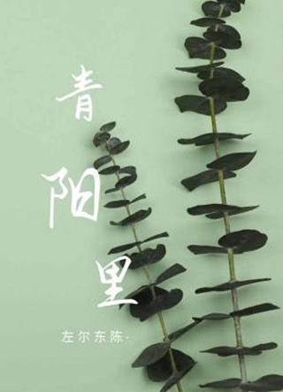 青阳里小说