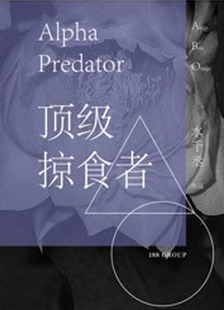 顶级掠食者小说