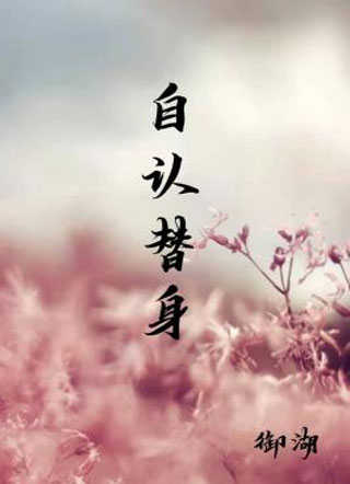 自认替身小说