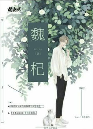 魏杞小说