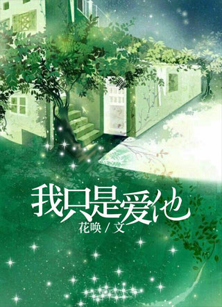 我只是爱他小说