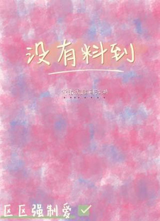 没有料到小说