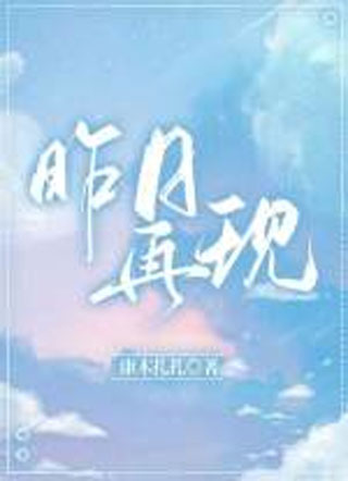 昨日再现小说