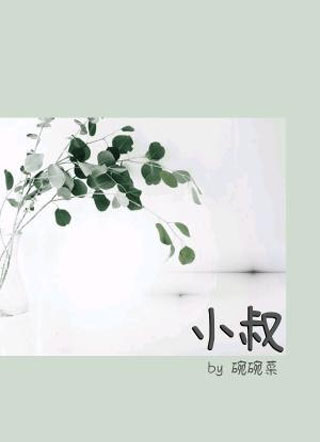 小叔小说