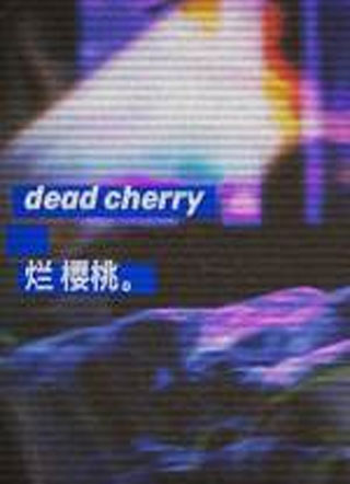 烂樱桃小说