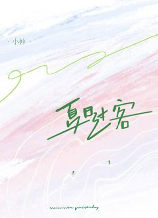 夏日过客小说