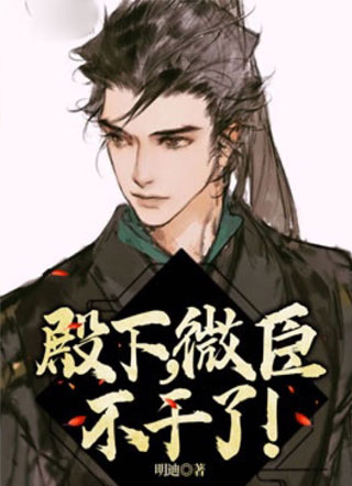 殿下，微臣不干了！小说