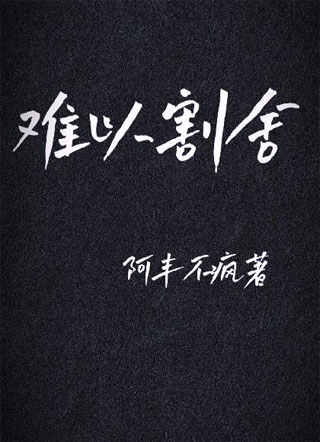 难以割舍小说