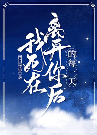 我死在离开你后的每一天小说