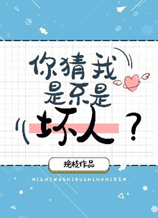 你猜我是不是坏人小说