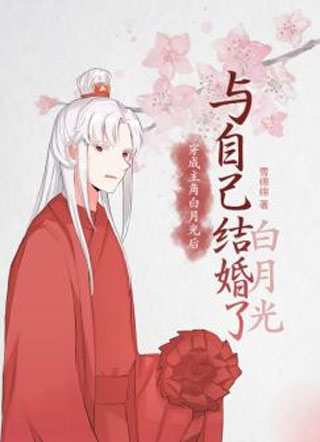 穿成主角白月光后与自己结婚了小说