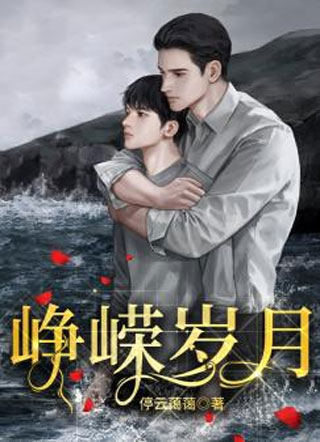 峥嵘岁月小说