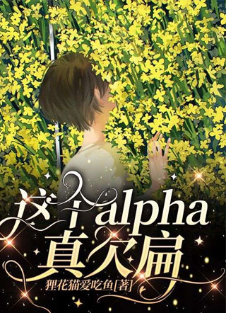 这个alpha真欠扁小说