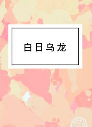 白日乌龙小说