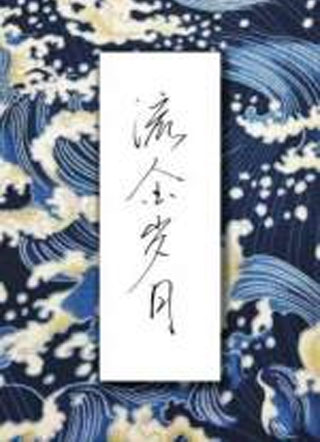 流金岁月小说