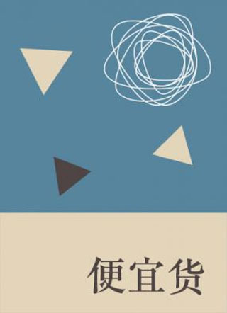 便宜货小说