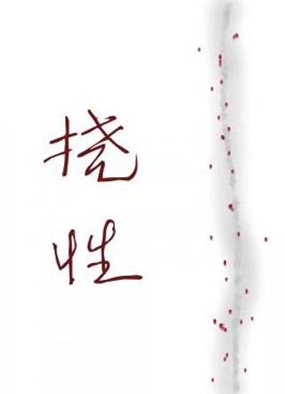 挠性小说