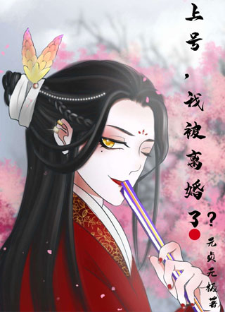 上号，我被离婚了？小说
