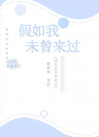 假如我未曾来过小说