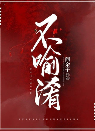 不喻淆小说